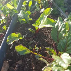 20191112_165524_720x@2x